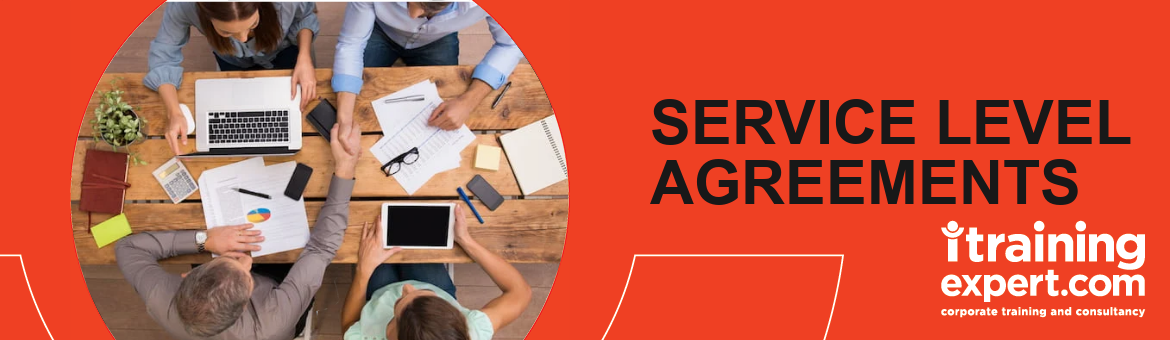 Service Level Agreements (SLA); Understanding Buyers & Vendor Roles